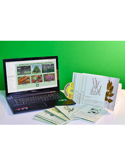 Гербарий натурально-интерактивный "Лекарственные растения"