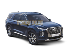 Пороги на Hyundai Palisade (2021-...) Black Start
