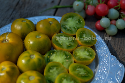 Томат Lime Green Salad (Лайм Грин Салад), 10 шт