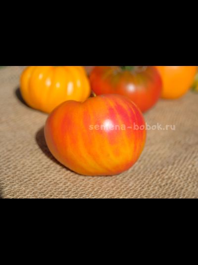 Томат Fred (Фред), 10 шт