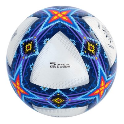 Vamos Campo Pro BV1085-CPB (№5 Футбольный мяч)