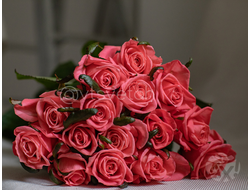 Роза Карина