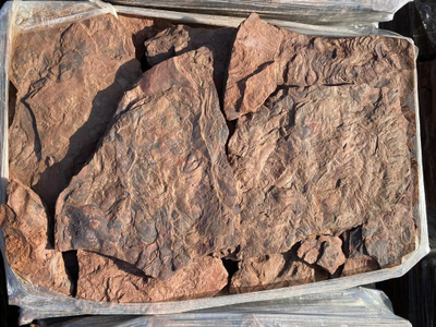 Красный обожженный дракон песчаник