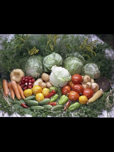 Купить греющую картину с фото капуста и овощи