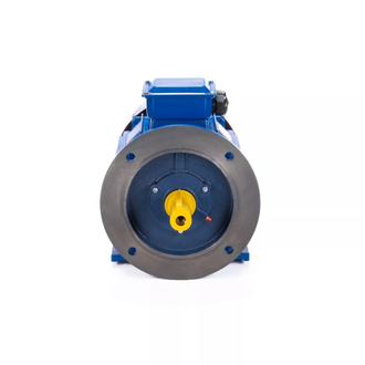 Электродвигатель АИС 160L2 (18,5 кВт) IM B35