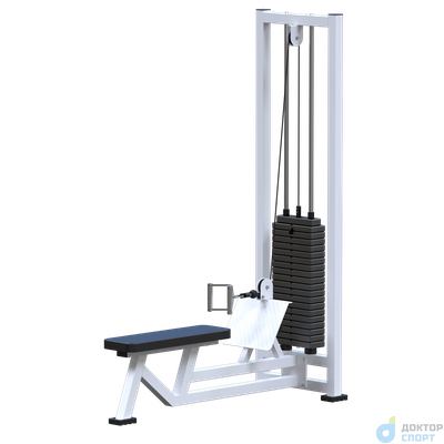 Горизонтальная тяга (стек 100кг)