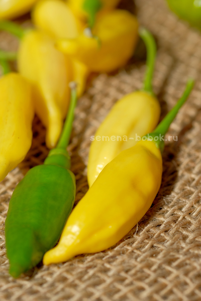 Перец острый Aji Lemon Drop (Ахи Лемон Дроп), 10 шт