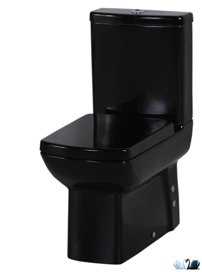 Унитаз-биде Creavit LARA LR360-00SM00E-0000, в комплекте с бачком, напольный, черного цвета, матовый