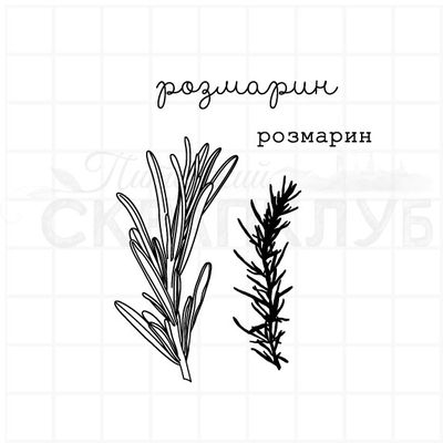 Штамп для скрапбукинга веточка розмарина, картинка и надпись