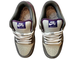 Nike Air Force 1 SB Dunk Purple Pigeon