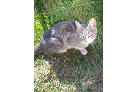 Максимов А Р "Ну и что нужно?!"