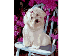 GX 6944 �������