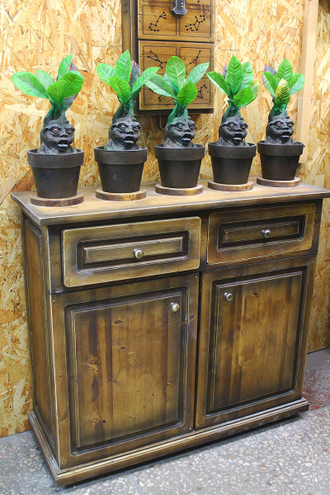Mandrakes