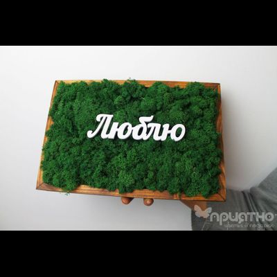 ЖИВАЯ ЭКО-КАРТИНА 1053