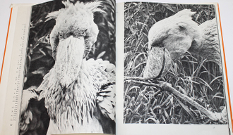 Пухальский В. Птицы дальних стран. Варшава: Спорт и туризм. б.г.