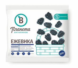 Ежевика 300 гр. ТМ Планета витаминов