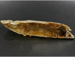 Гипс, кристалл, Россия, Ставропольский край (72*24*15 мм, 24 г) №29482