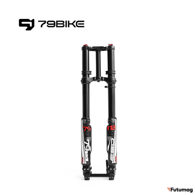 Передняя вилка FORK 79Bike