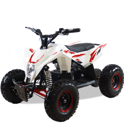 Детский квадроцикл Motax GEKKON 1300W