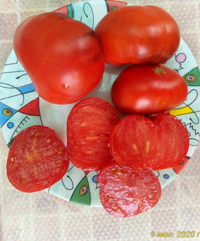 Томат Синий Том (Blue Tom)