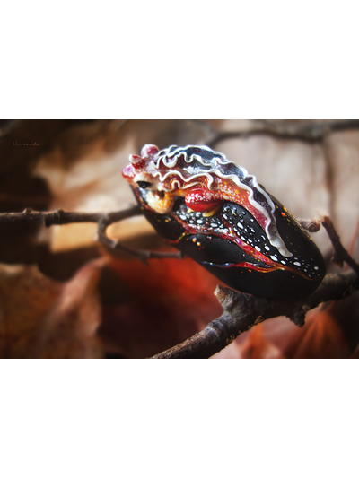 "Саламандра, дитя пламени", миниатюрная фэнтези-брошь (4,5 см)