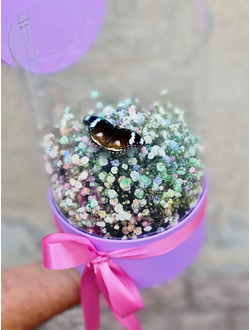 Букет из гипсофилы с бабочкой №57