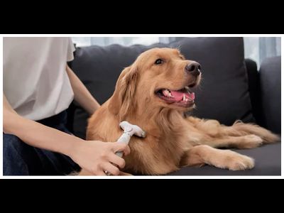 Расческа для животных Xiaomi Pawbby Type Anti-Hair Cutter Comb MG-PCO001-GL White