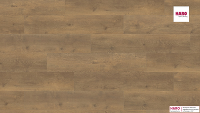 Ламинат Haro Tritty 100 Campus Дуб Бергамо Натур 538747 фото
