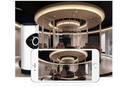 Панорамные WiFi видеокамеры