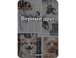 "Верный друг" серия
