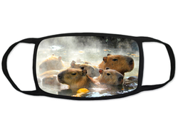 Тканевая маска на лицо Капибара, Kapibara-san №17