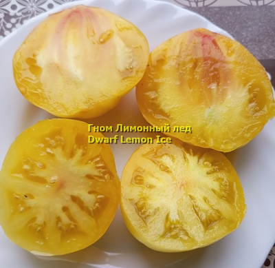 Томат гном Лимонный лед (Dwarf Lemon Ice, дварф Лемон айс) США