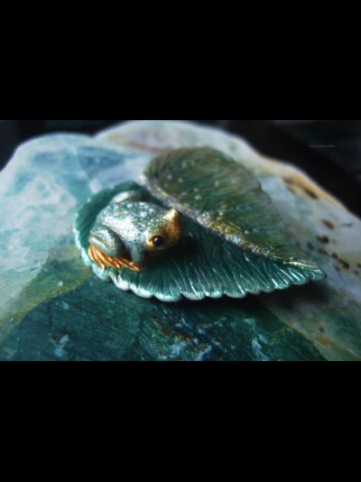 Брошь с лягушкой "Принцесса с окраин Ранней Осени"