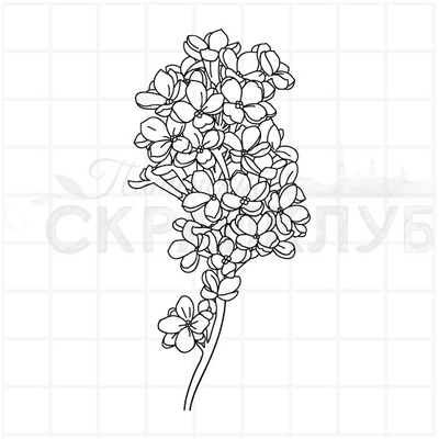 ФП штамп "Белая сирень"