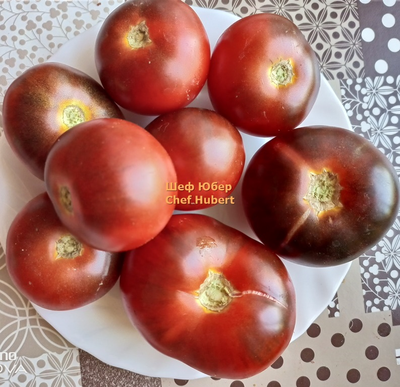 Томат Шеф Юбер (Chef Hubert)