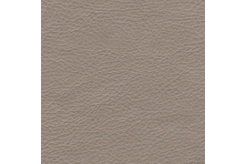 Stainless-719