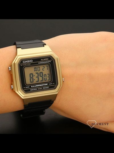 Часы Casio W-217HM-9AVEF