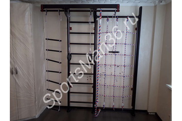 СПОРТИВНЫЙ КОМПЛЕКС KARUSSELL BERNHARD, цвет дерева ВЕНГЕ, цвет металла красный.