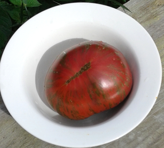 Семена томата Полоски Ноя Гном