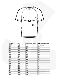 Футболка самбо BRAVEGARD ПАТРИОТ синяя