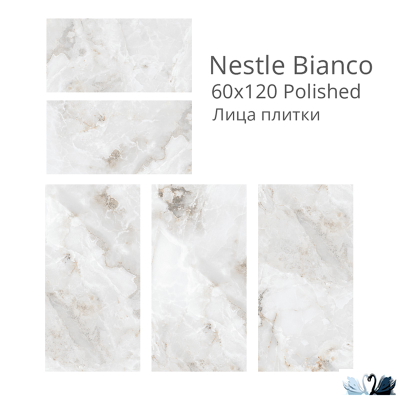 Керамогранит Staro Palacio Nestle Bianco 60х120 см глянцевый