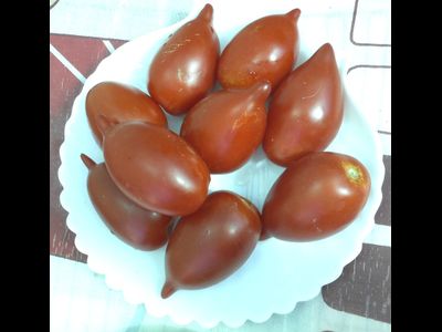 Томат Легенда ( Тарасенко)