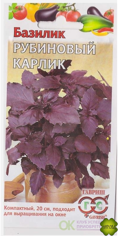 БАЗИЛИК "РУБИНОВЫЙ КАРЛИК"