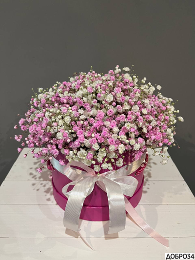 гипсофила мини букет. гипсофила стабилизированная. гипсофилы в губке. шляпная коробка с гипсофилой. гипсофилы в губке.