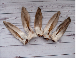 Ухо кролика, 1 шт.