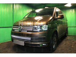 Защита радиатора Volkswagen T6 (Multivan,Caravelle) 2015- (2 части) chrome низ