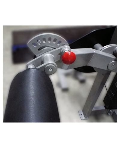 Сгибание-разгибание ног сидя 2 в 1 100 кг AV216/80