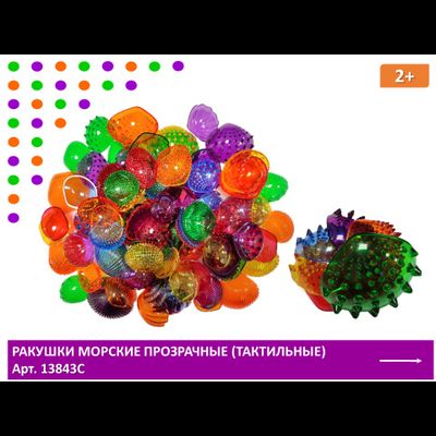 Ракушки морские прозрачные (тактильные) 108 шт.