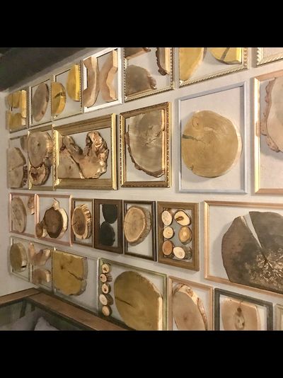 декор стены из спилов галерея