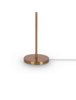 Freya, Напольный светильник (торшер) Forte, FR1006FL-01G